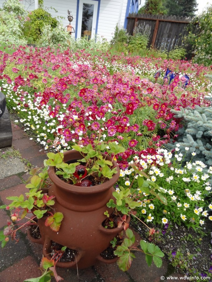 DSC005602