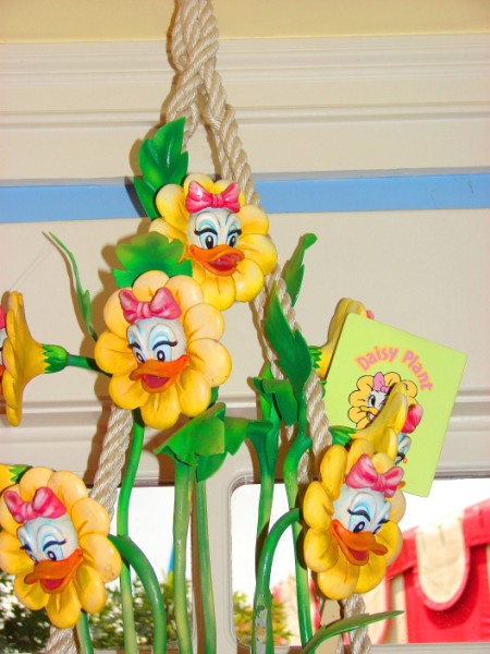 DSC00825_450_x_600_