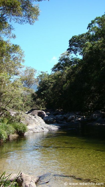 DSC04353