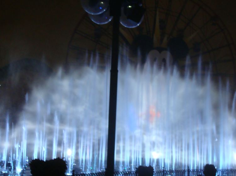 DSC05365