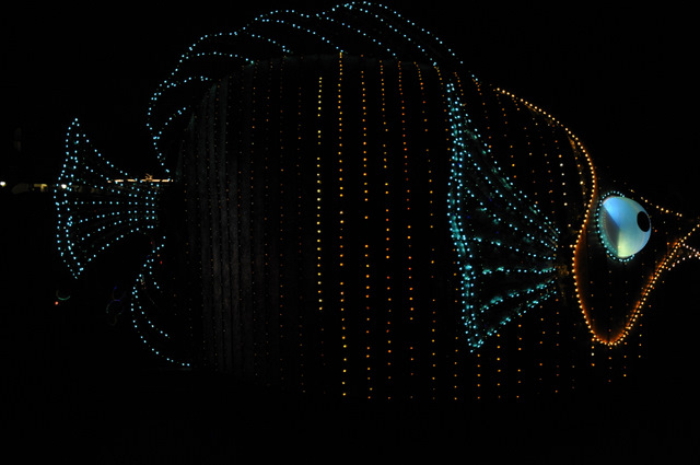 DSC1751