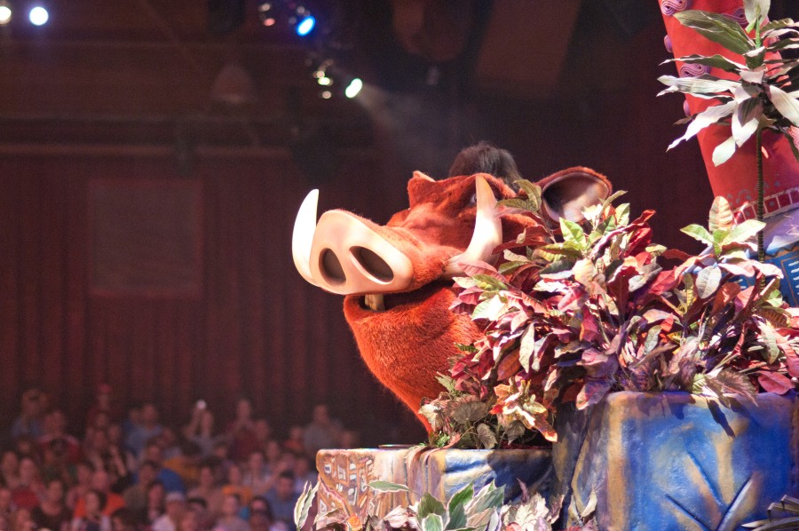 DSC3729