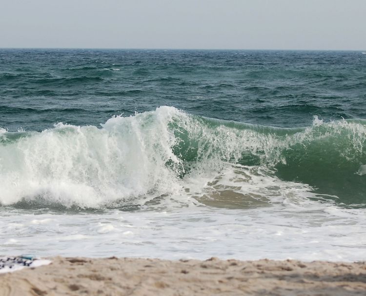 DSC_0008-2