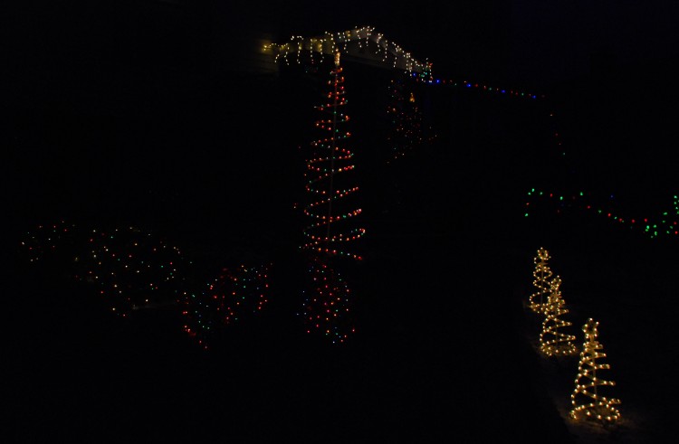 DSC_0088