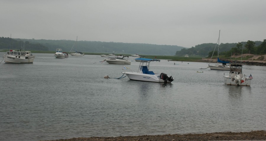 DSC_0099a
