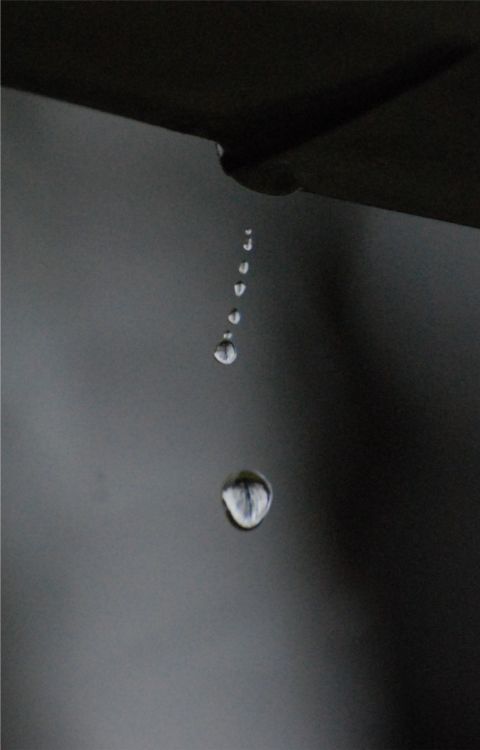 DSC_0193a