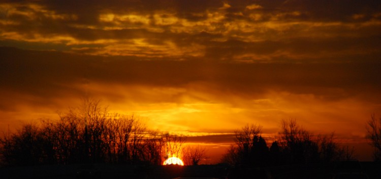 DSC_0238b
