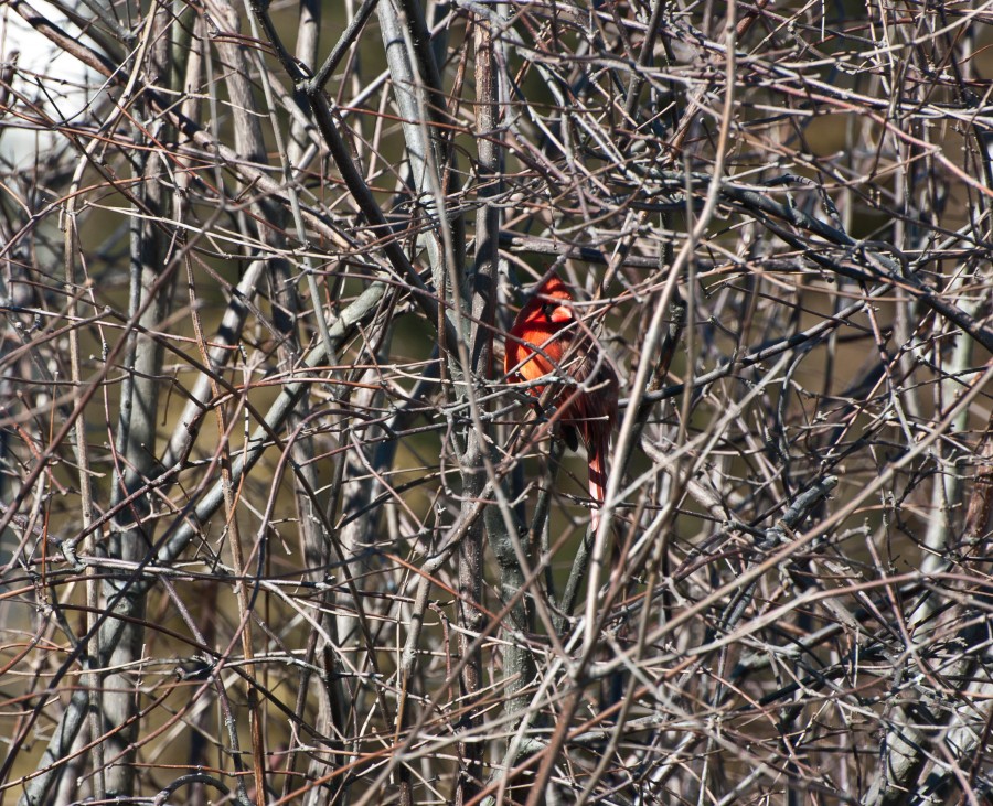 DSC_04872