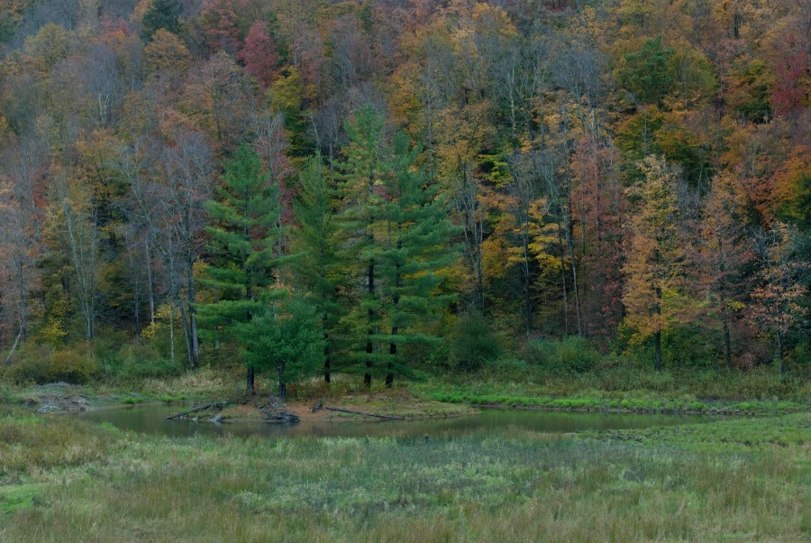DSC_06028a
