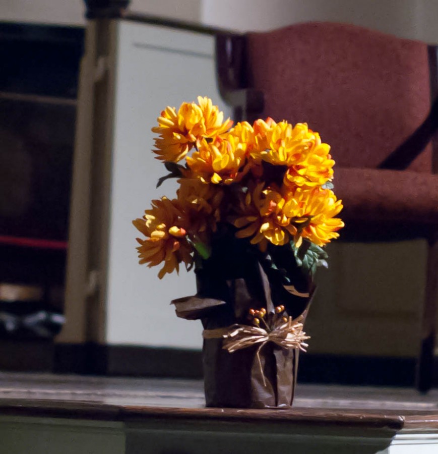DSC_063033a