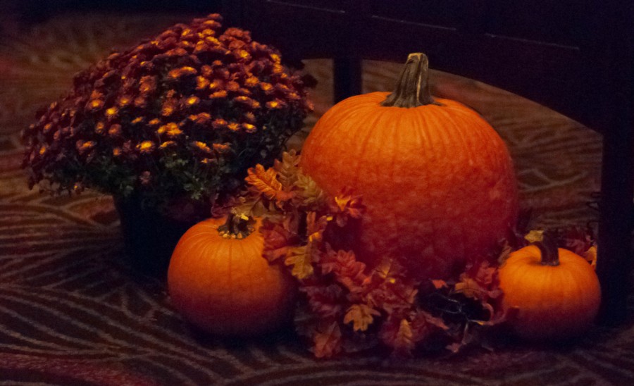 DSC_064345a