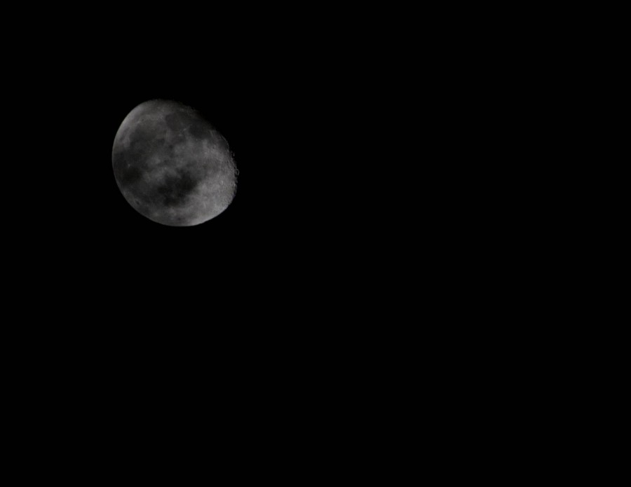 DSC_064646a