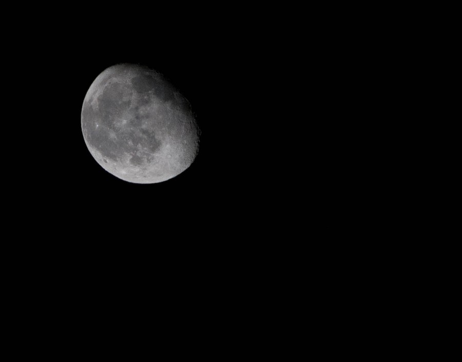 DSC_066661b