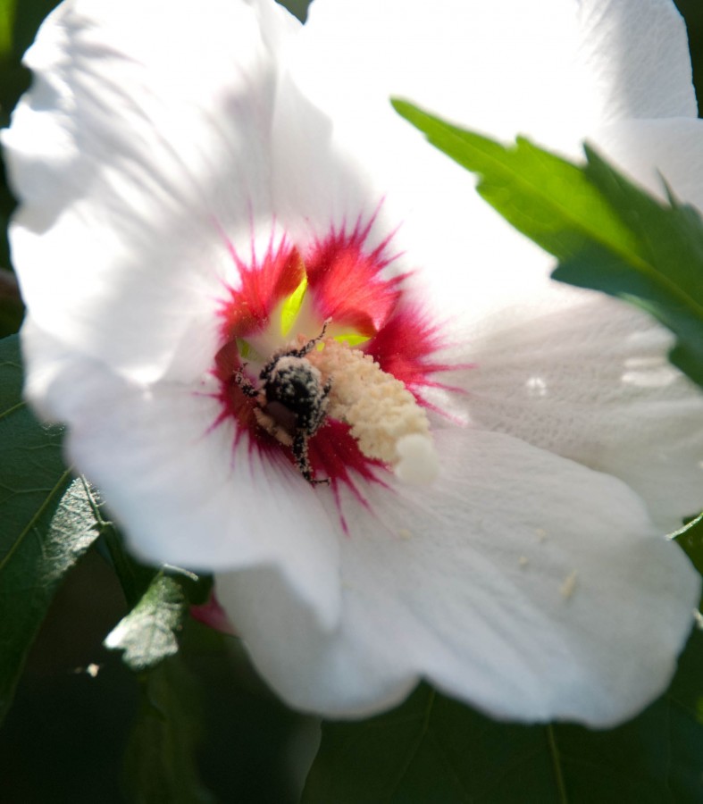 DSC_06858a