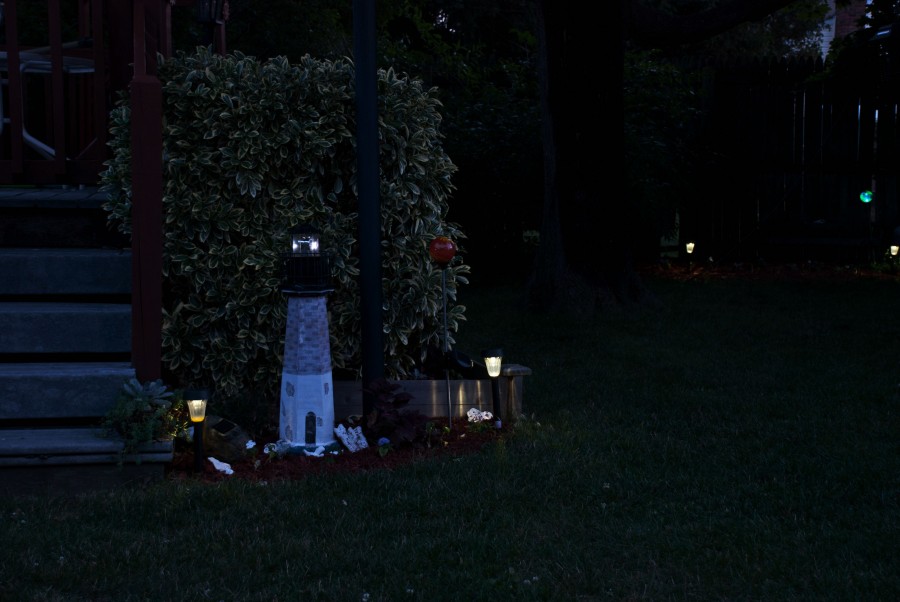 DSC_06921a
