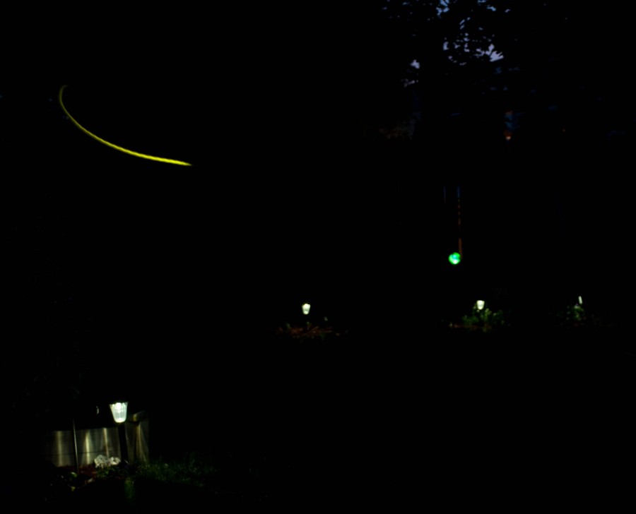 DSC_07019a