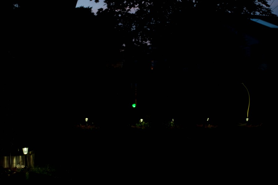 DSC_070311