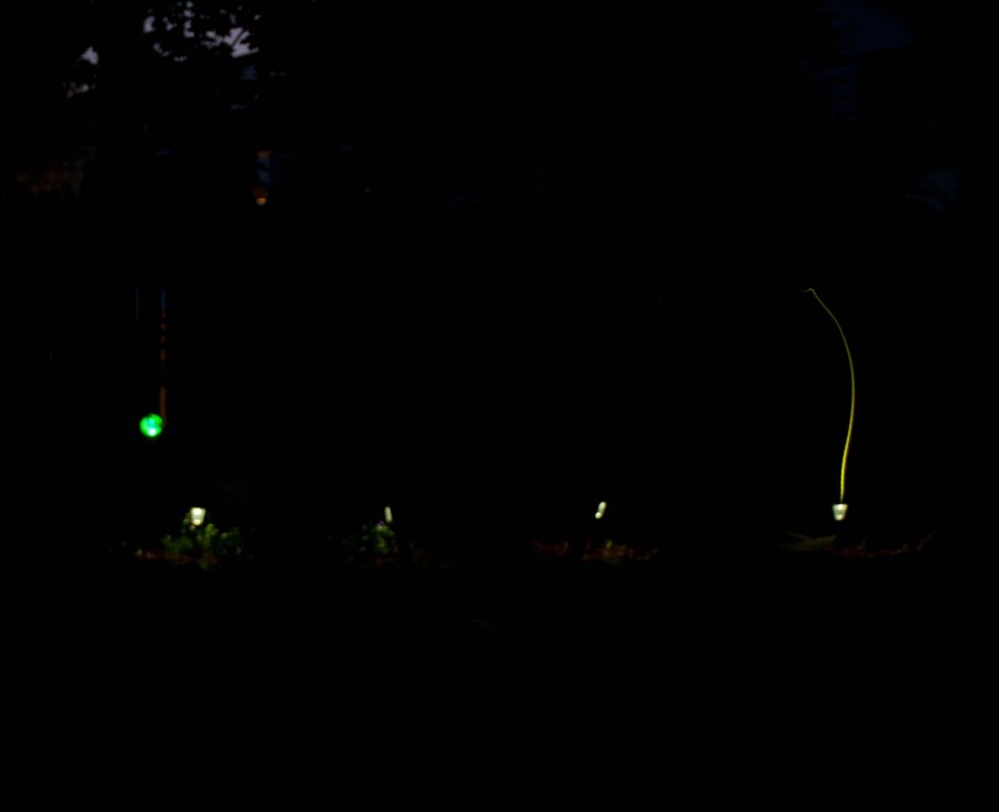 DSC_070311a