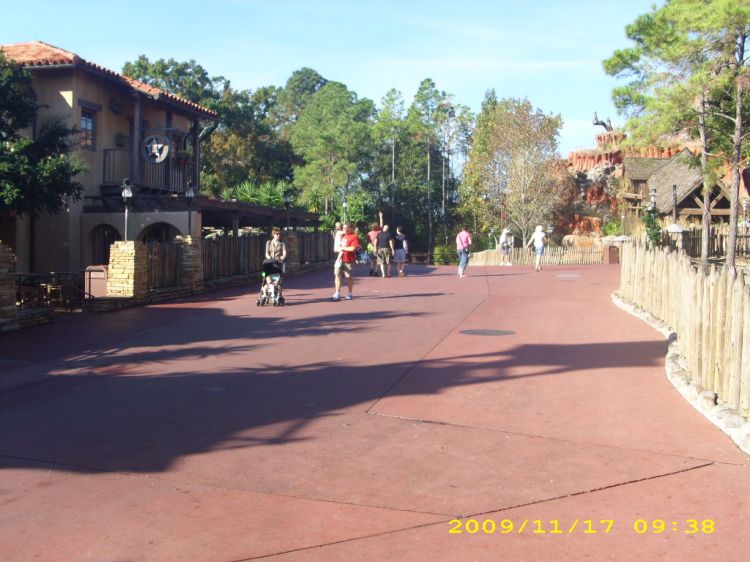 DSCI0341