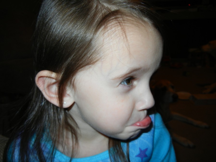 dscn0052