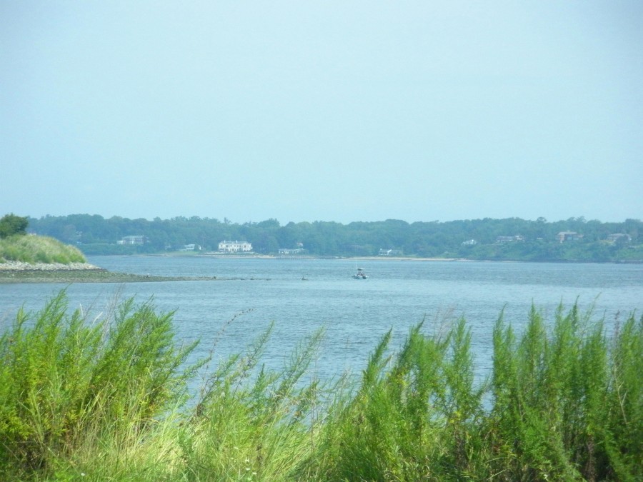 DSCN1732