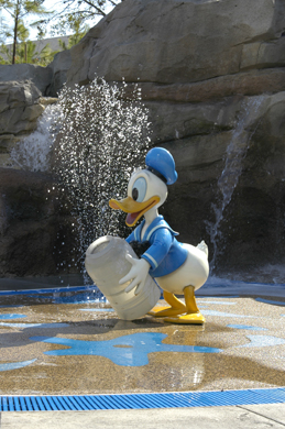 Duck Pond