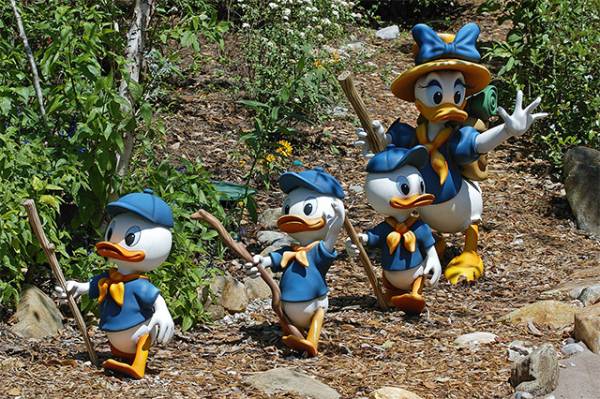 Ducks on a Hike