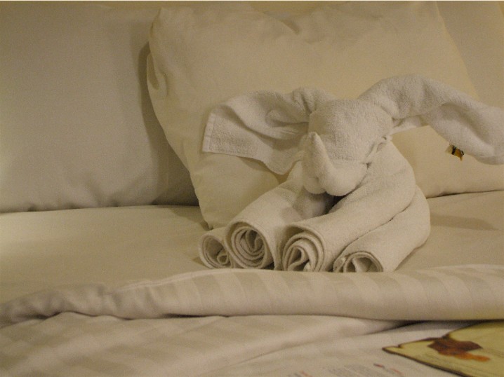 Dumbo the flying towel