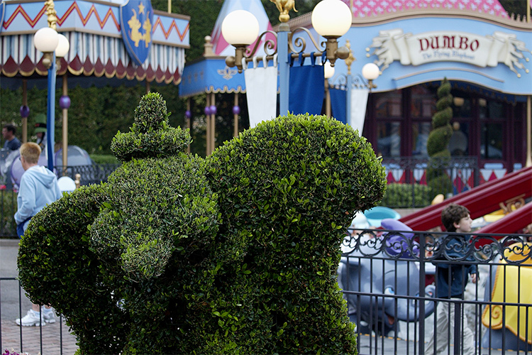 Dumbo topiary