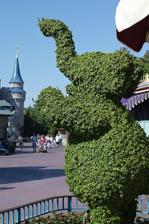 Dumbo topiary