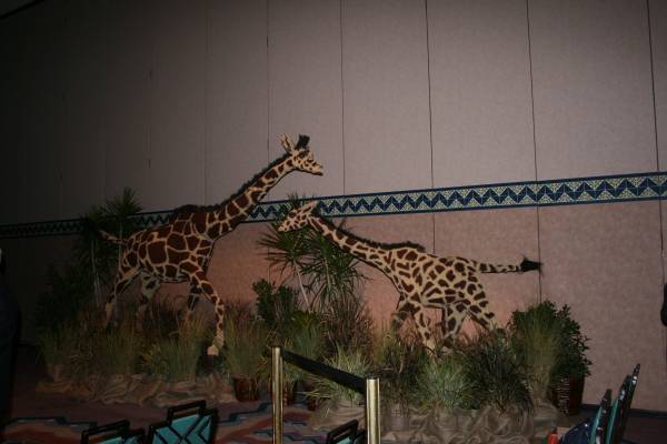 DVC Annual Meeting