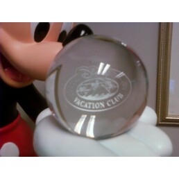 dvc_mickey_4