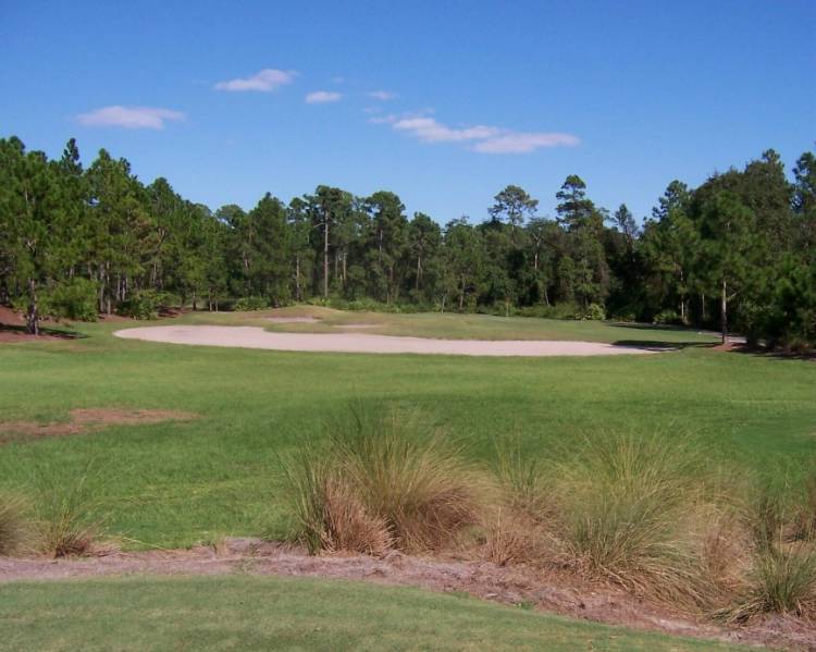 Eagle Pines #12