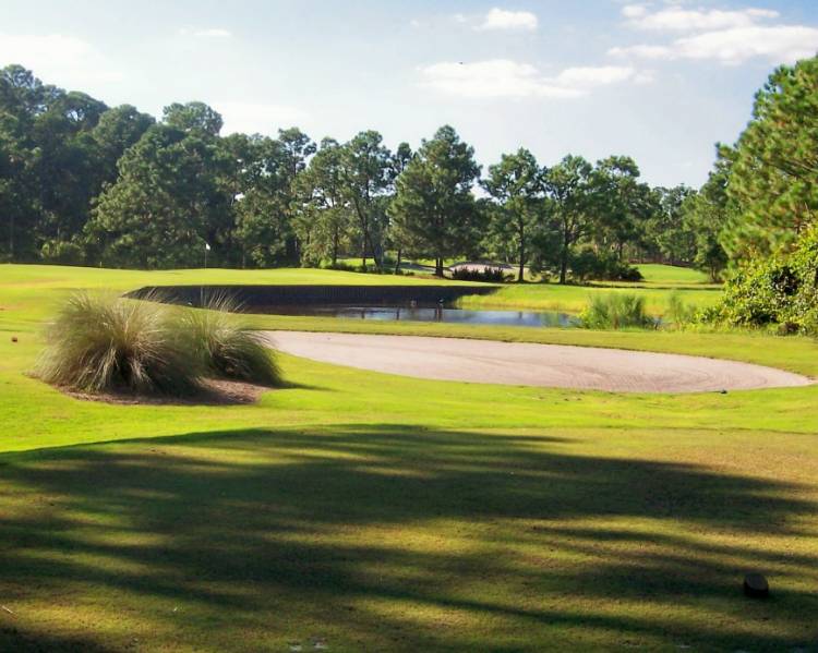 Eagle Pines #15