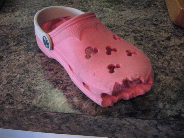 Eaten_Croc1_Small_