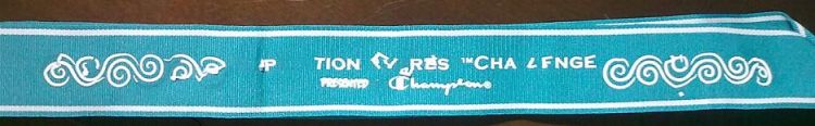 EE Challenge finishers medal lanyard