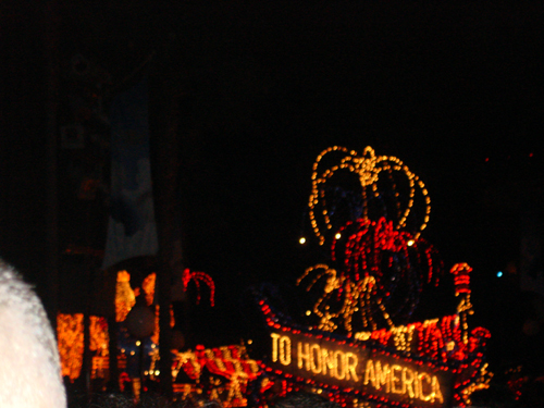 Electric Lights Parade - Flag