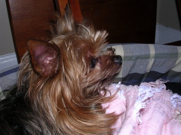 Emmie Lulu