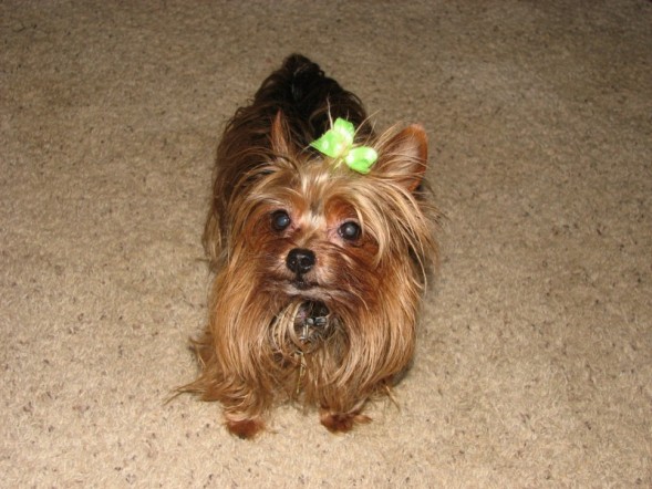 emmie1