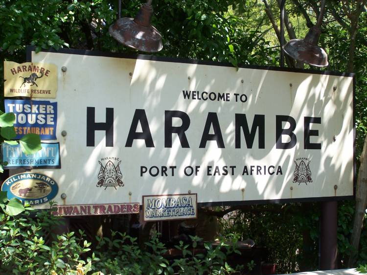 Entering Africa