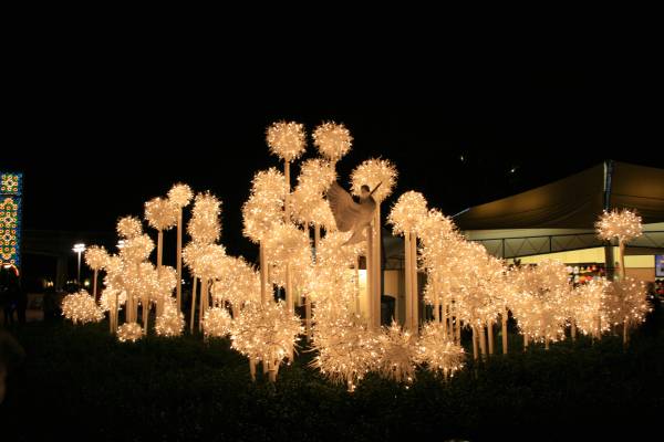 Epcot 12/07