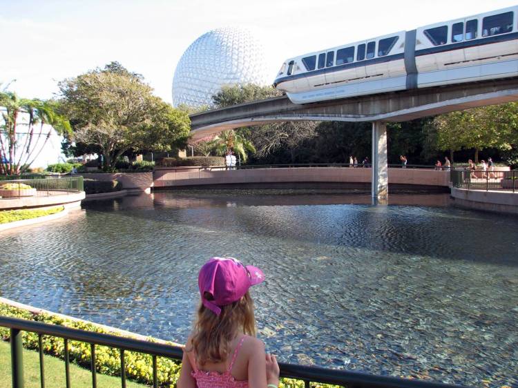 Epcot Accident