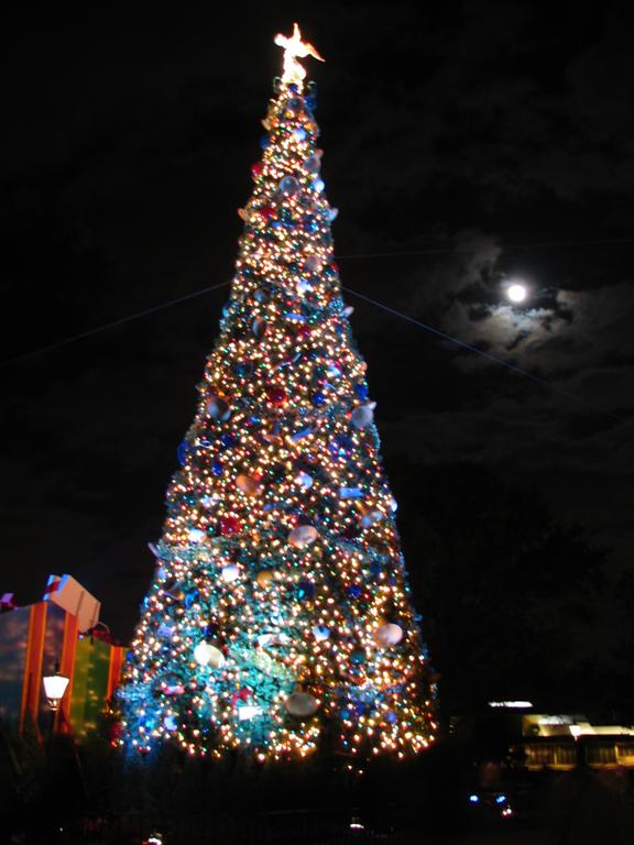 Epcot Christmas at Night
