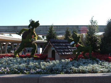 Epcot Decorations