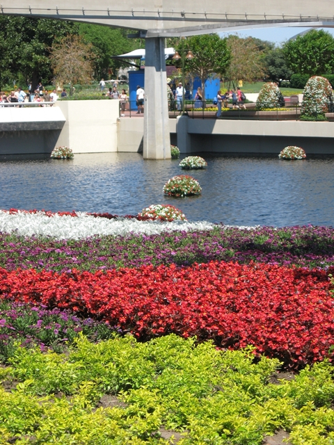 EPCOT Flower and; Garden 2011