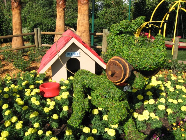 Epcot - Flower and Garden 3-2009 Pluto