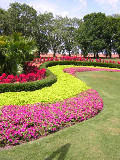 Epcot - Flower and Garden 5-2004