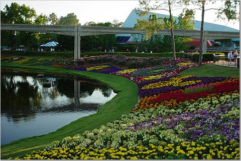 Epcot, flower and garden festival