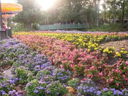 Epcot Flower and Garden Festival