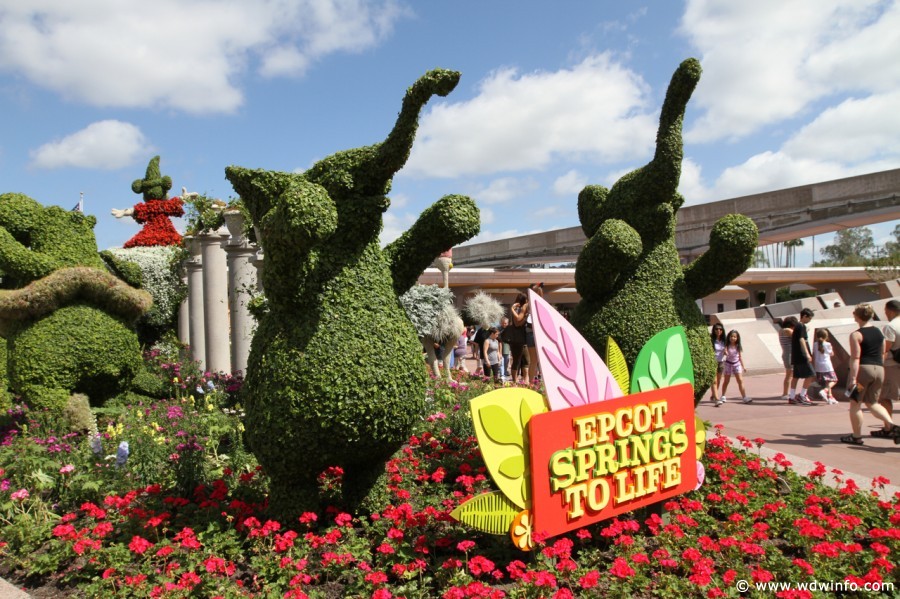Epcot-Flower-Garden-2012-005